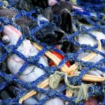 EU plans restrictions on climate-wrecking fishing method