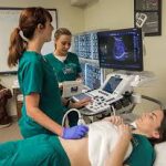 Medical Sonographer Job Description, Roles/Responsibilities, and Qualifications