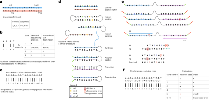 Simultaneous sequencing of genetic and epigenetic bases in DNA