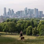 Doubling trees in European cities could prevent thousands of deaths