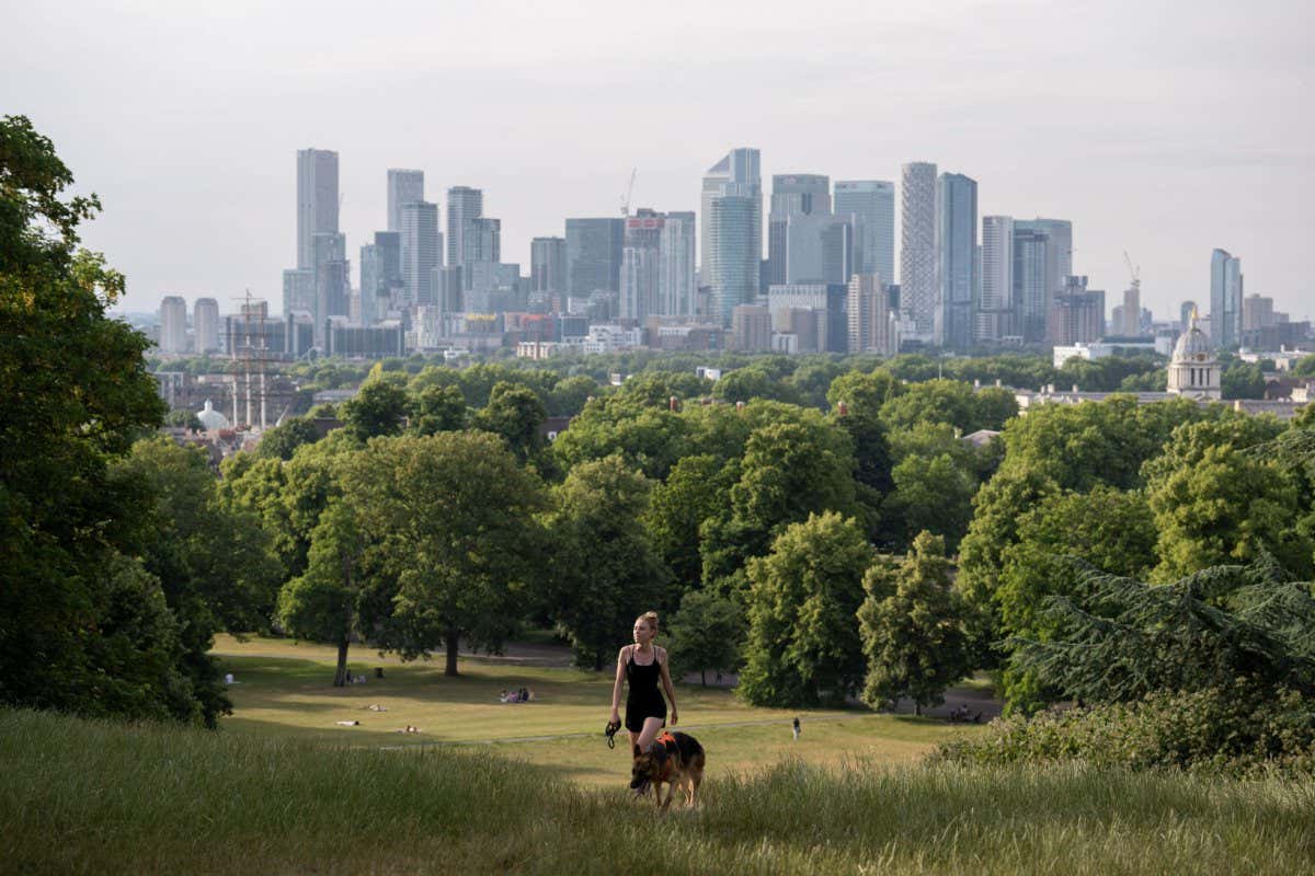 Doubling trees in European cities could prevent thousands of deaths