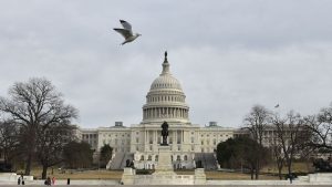 Health data breach hits members of Congress