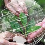 Venture Capital Invested Billions In Emerging Market Agri-Tech Startups In 2022