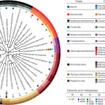 Cancer debugged