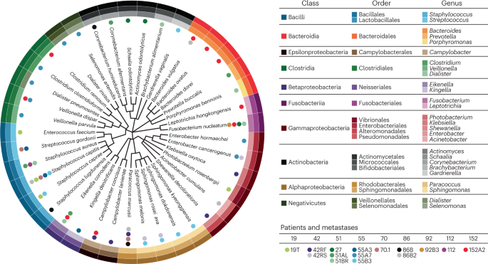 Cancer debugged