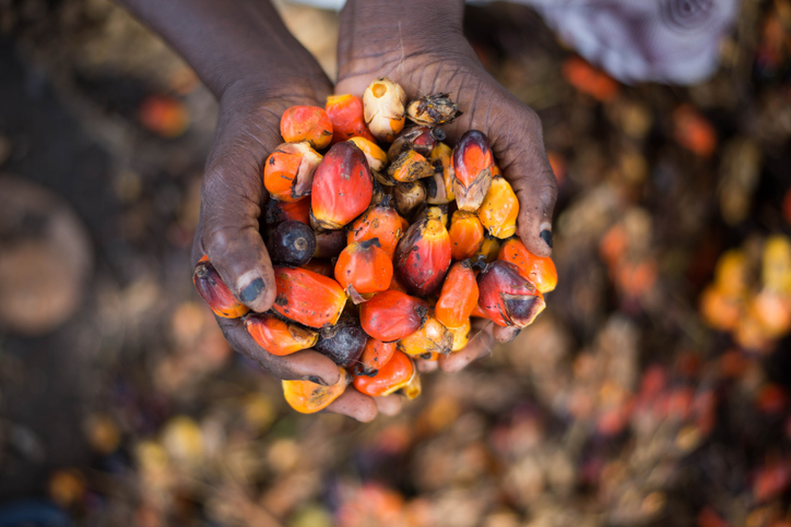 The tech start-up seeking to untap and transform Africa’s agricultural supply chain efficiency