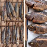 45 fishery coops trained on fish smoking technology