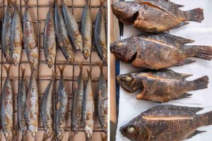 45 fishery coops trained on fish smoking technology