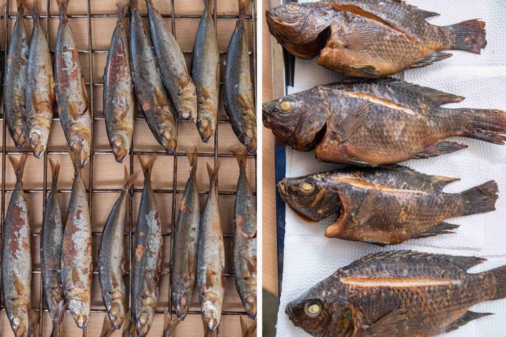 45 fishery coops trained on fish smoking technology