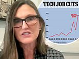 Queen of Bull Market Trump supporting Wall Street CEO claims tech firms laying off workers due to AI