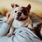 The surprising way that having a cat or dog is affecting your health