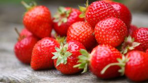 Sustainable strawberries: Singrow debuts commercial application of climate-resilient variety via precision ag-tech