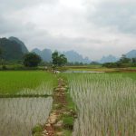 Frontier markets-focused investor EMIA backs Cambodian rice producer Amru