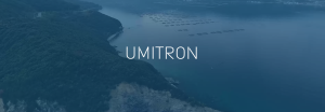 Plenty more fish in the sea: How Umitron is helping aquaculture farmers achieve sustainability with AI and IoT