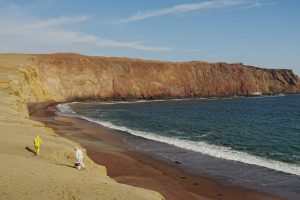 Avian flu hits Peru, killing thousands of sea birds and infecting some marine mammals