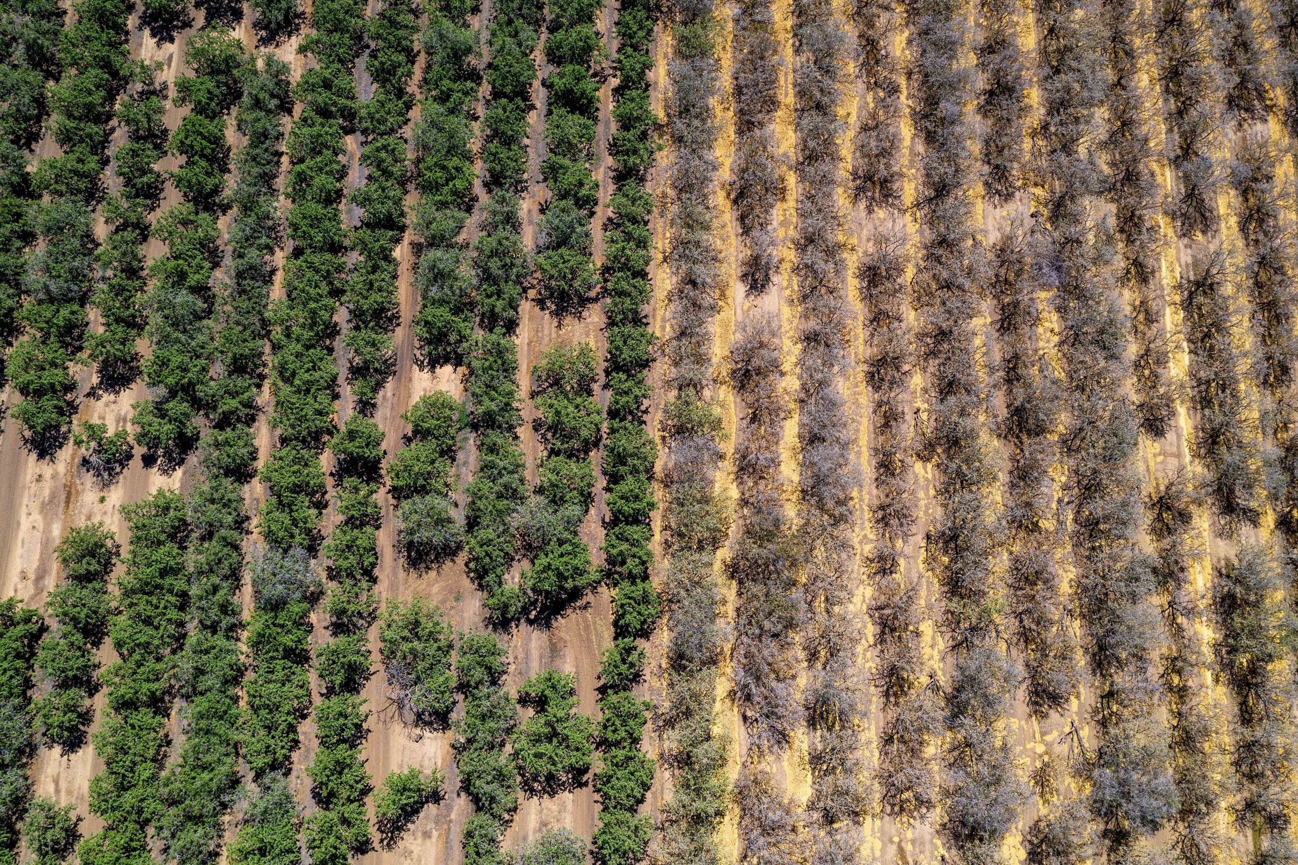 Building Resilience in the Face of Climate Change [Sponsored]