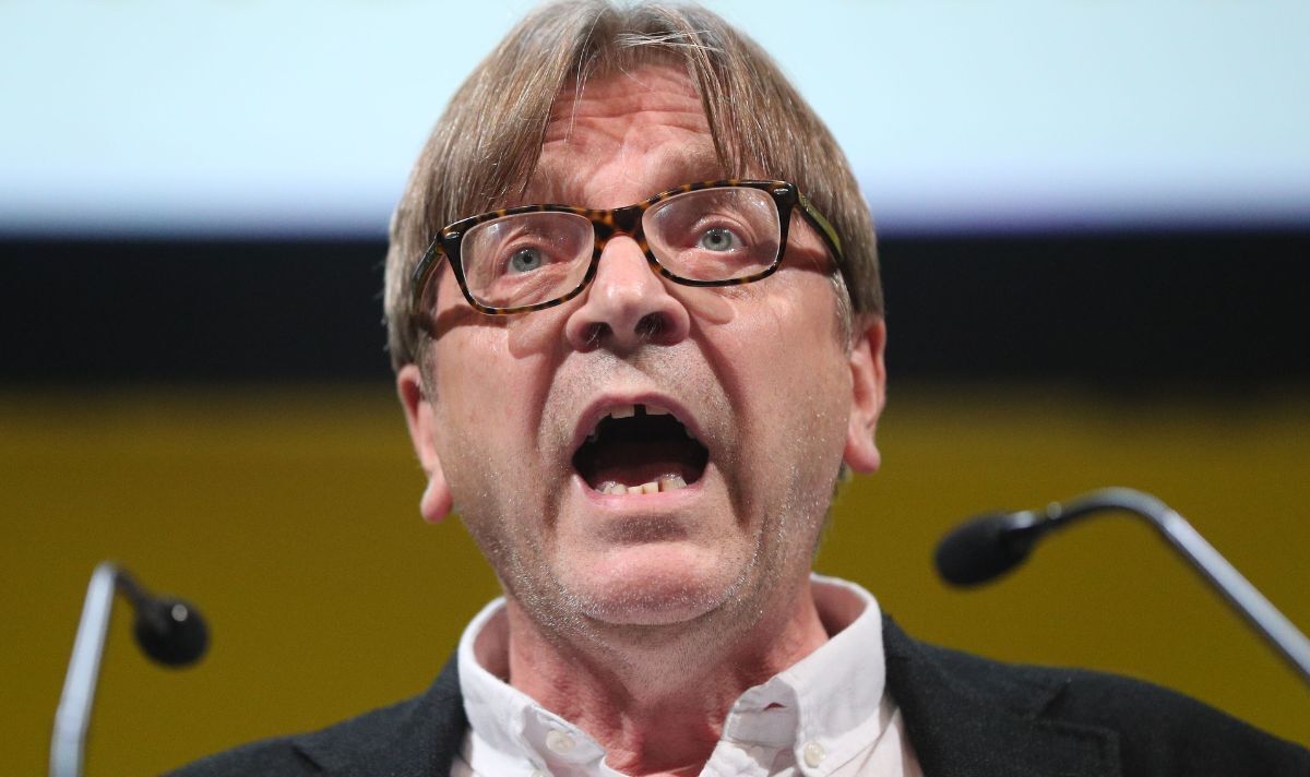 Guy Verhofstadt fumes over Boris’s Brexit intervention and demands ‘do the opposite’