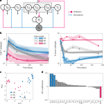 Deconvolution of clinical variance in CAR-T cell pharmacology and response