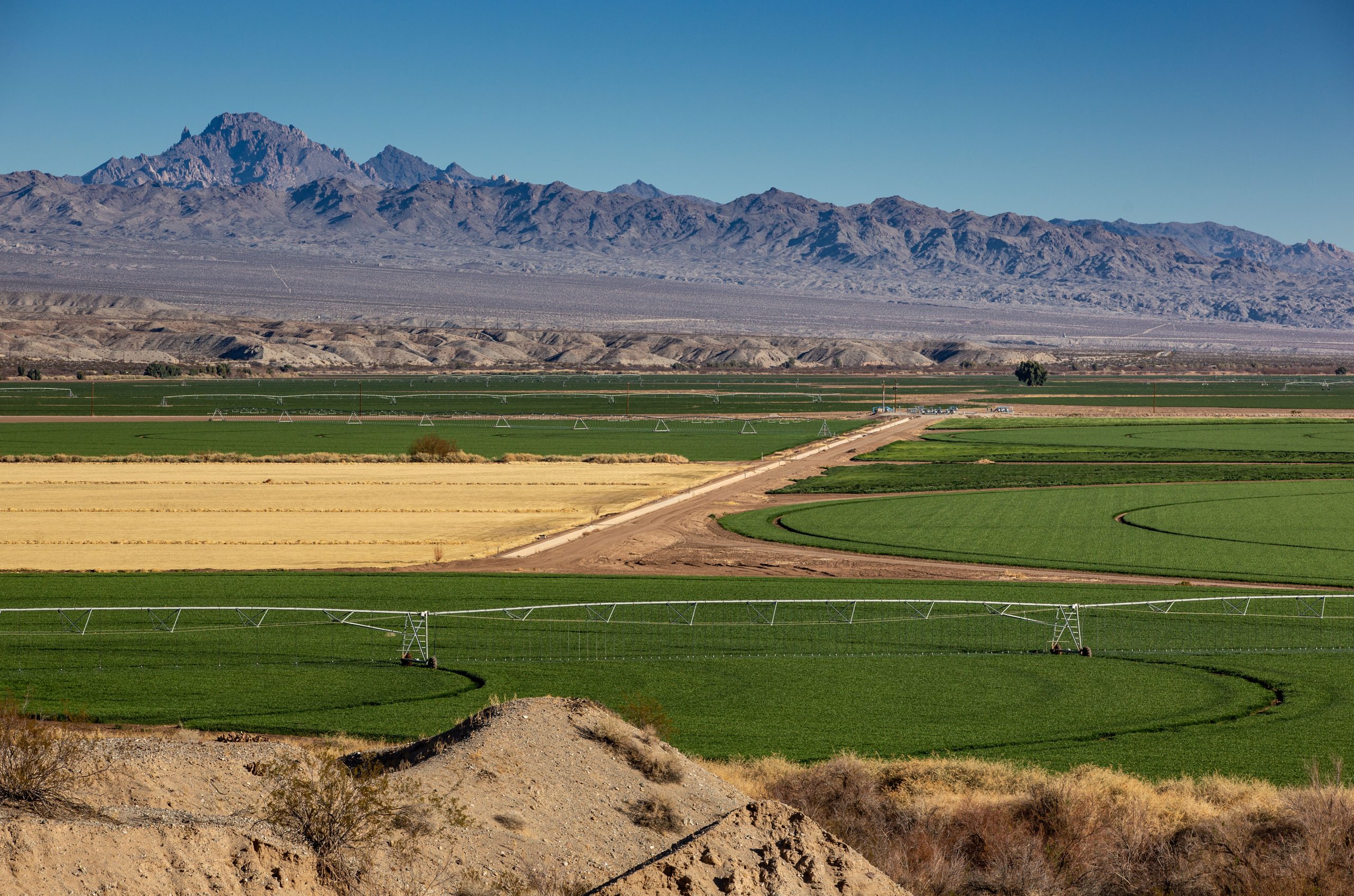 Why Is Arizona Using Precious Water to Grow Alfalfa for Saudi Arabia?