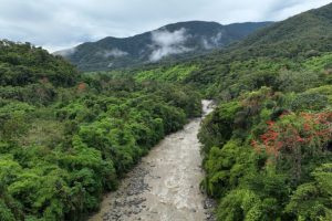 Citizen-run conservation booms in South America, despite state neglect