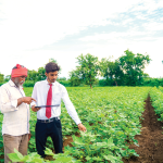 Biodiversity and the future of food served by the cloud