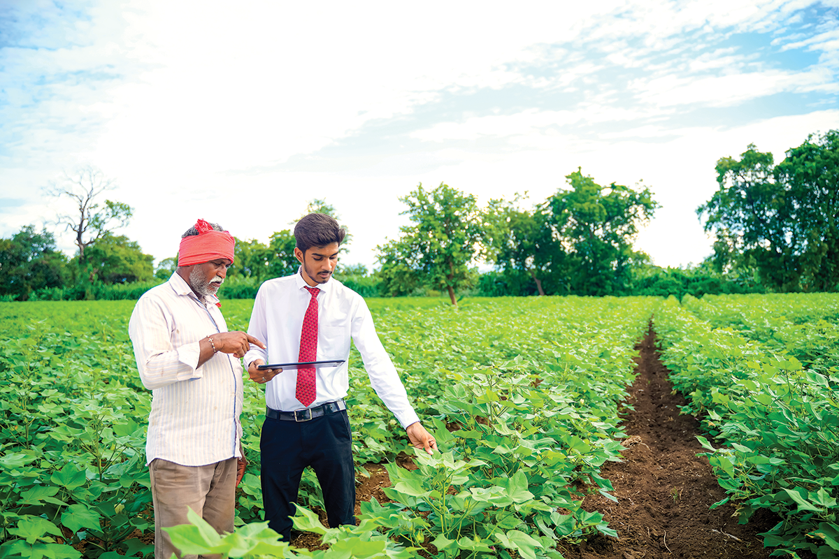 Biodiversity and the future of food served by the cloud