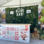 European olives show their gastronomic potential in Miami to 450 chefs / The Spanish chef Alberto Astudillo will prepare different dishes with this ingredient