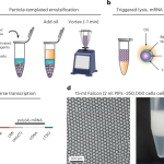 The next generation of single-cell sequencing methods can be microfluidics-free