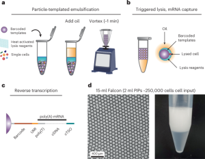 The next generation of single-cell sequencing methods can be microfluidics-free