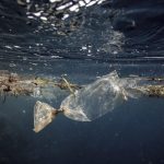 Study Shows The Impact of Ocean Plastic on Human & Ocean Health