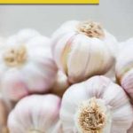 Diabetes: How roasted garlic helps control blood sugar level?