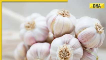 Diabetes: How roasted garlic helps control blood sugar level?