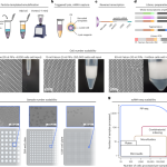 Microfluidics-free single-cell genomics with templated emulsification