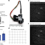 Trans-segmental imaging in the spinal cord of behaving mice