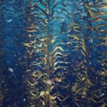 While One Iconic Kelp Forest Faces An Incredible Decline, Another Offers A Glimmer Of Hope