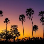 Monitoring the heart of the Okavango Delta