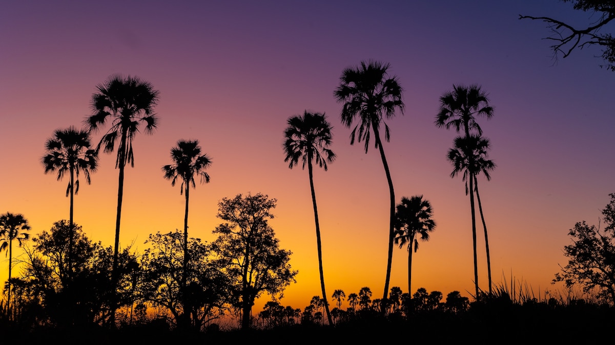 Monitoring the heart of the Okavango Delta