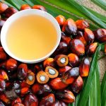 A region infuriated: Confidence in EU trade plummets in ASEAN as palm oil sector formally unites