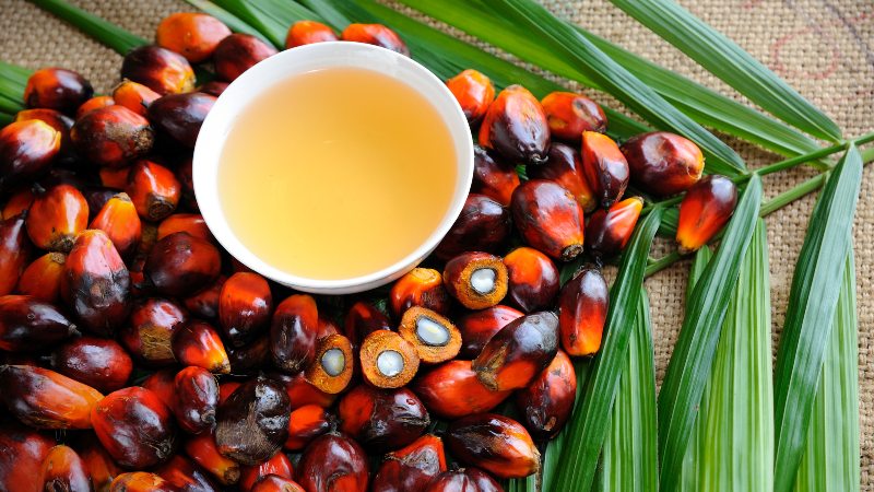 A region infuriated: Confidence in EU trade plummets in ASEAN as palm oil sector formally unites