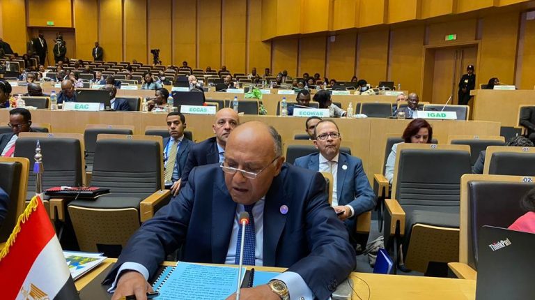 Egypt urges relying on ‘African Solutions to African Problems’