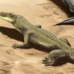 Fossils of Giant Phytosaur Unearthed in India