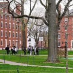 Harvard admits record number of Asian American students while Black and Latino admits drop