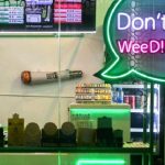 Thailand’s promised cannabis bonanza disappoints as politicians trade blame, Asia