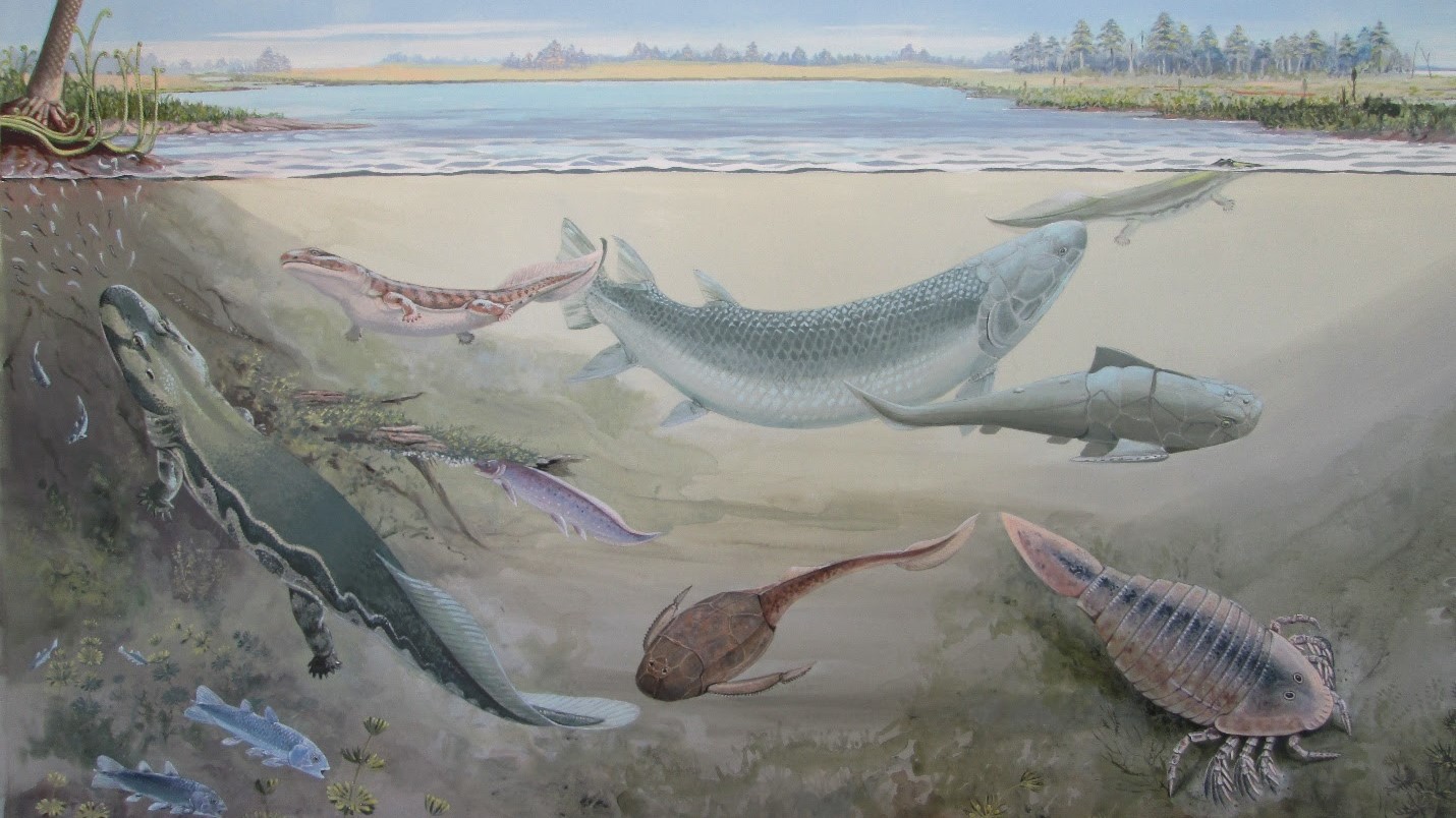 Giant ancient fish that likely preyed on humans’ ancestors unearthed in South Africa