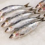 6 Health Benefits Of Sardines