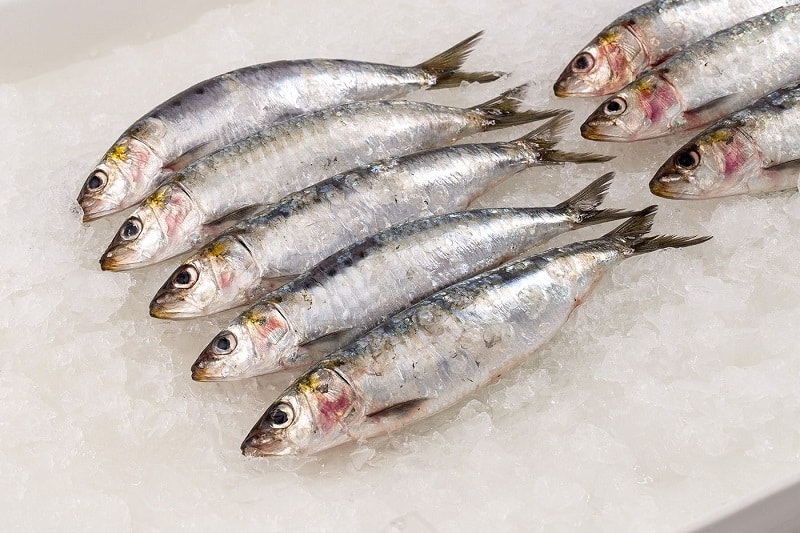 6 Health Benefits Of Sardines