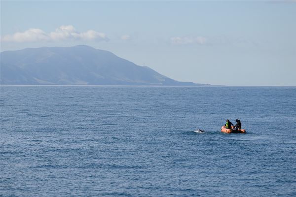 Nathalie Pohl is the first German woman to cross New Zealand’s Cook Strait