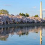 Knowland: Washington, D.C. Led U.S. Meetings and Events Volume in March 2023