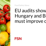 EU audits show Hungary and Bulgaria must improve controls