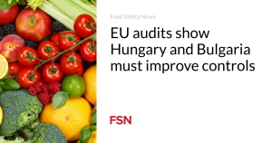 EU audits show Hungary and Bulgaria must improve controls